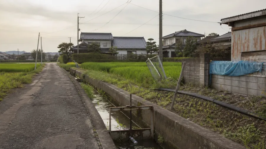 How Many People Go Missing in Japan?